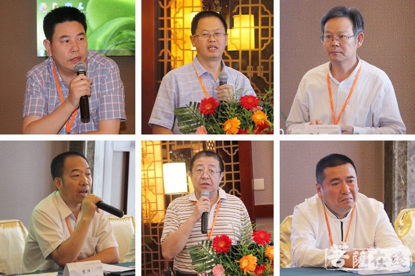 教授,宋雷研究首席,刘成有教授,安虎生,谢路军教授依次发言(图片来源