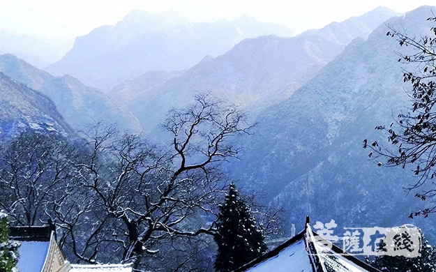终南山净业寺
