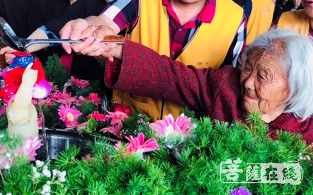 南海禅寺-河南南海禅寺己亥年朝山暨佛诞节法会圆满