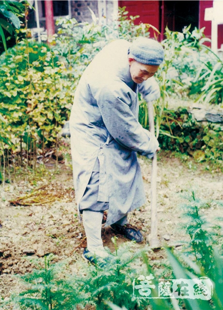 欲常住东林,因大队及生产队不肯接收户口,后在云门寺尼姑庵遇见了武宁