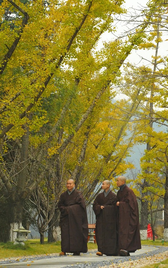 天圣山安福寺的美丽影像