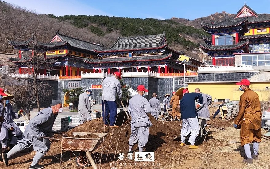 关门闭寺百余天,各大寺院僧众实修生活集锦