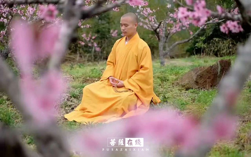 关门闭寺百余天,各大寺院僧众实修生活集锦