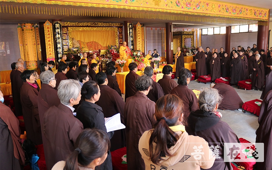 大菩文化江苏讯 11月4日,观音菩萨出家日,徐州兴化禅寺朝山拜佛放生法