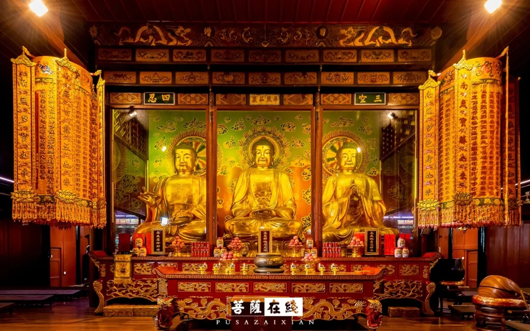 瞻礼219座释迦牟尼佛圣像,与万千僧众同祈福
