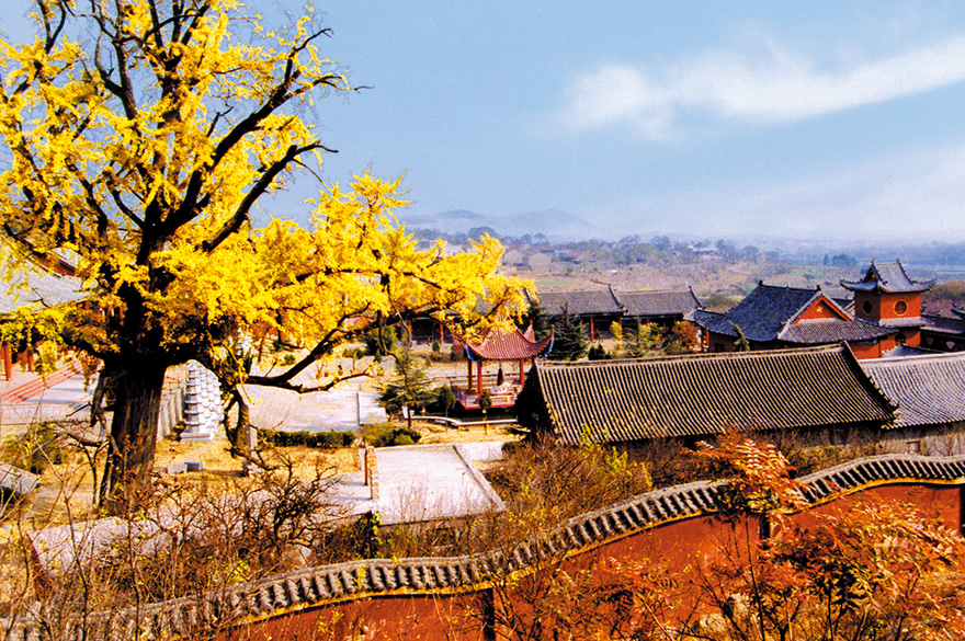 枣庄市甘泉寺关于开展抗击新型冠状病毒感染肺炎疫情的倡议书