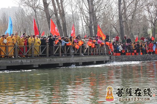 淄川普照寺2015年二月初二大型放生法会