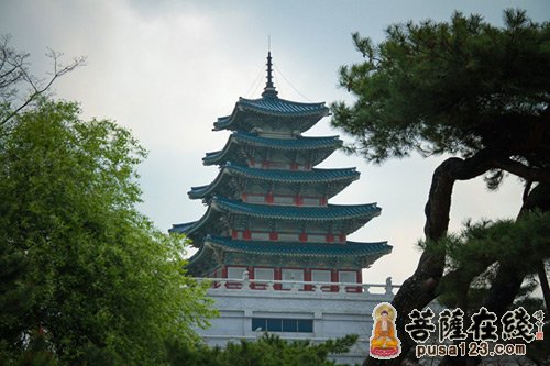 西隐古寺中韩国际禅修营参观韩国总统府邸与韩