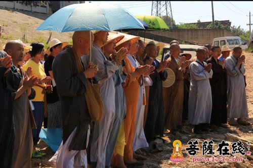 放生结束后集体回向