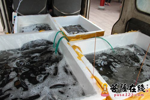 所有具福报进入寺院往生的生灵 皆皈依三宝 种解脱因 生极乐国