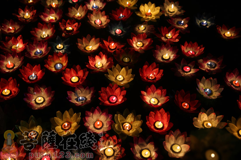 共赴莲会,张灯结彩,祈福纳祥(图片来源:菩萨在线 摄影:妙然)