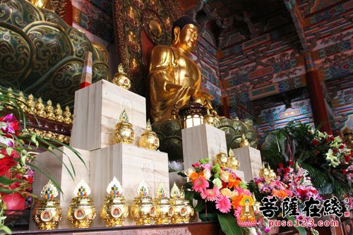 天津华盛寺"祈福津南·筑梦中国"暨大雄宝殿圣像装藏法会举行