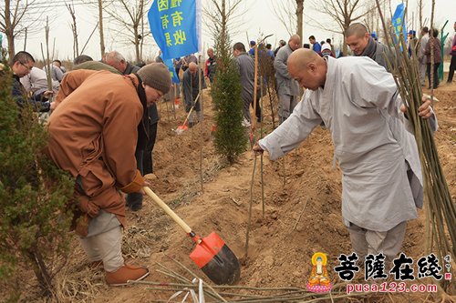 明海大和尚率众挥锹培土 植下一颗颗吉祥树