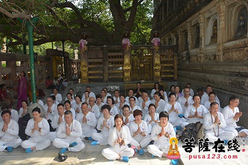 国际佛教禅修学会赴八大佛教圣地朝圣禅修 感悟佛法精髓