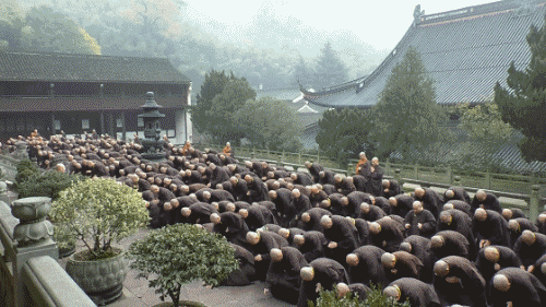 【高清图集】太白山天童禅寺三坛大戒法会:教跪拜,穿脱海青