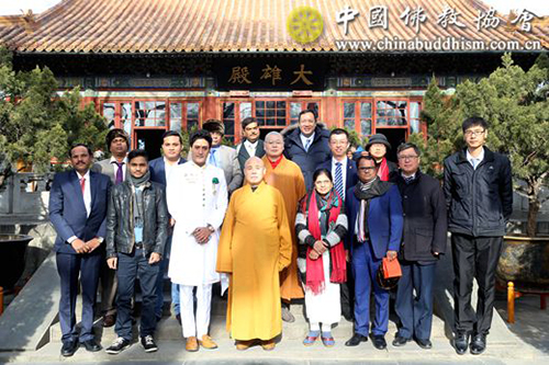佛教-印度佛教代表团一行参访中国佛教协会