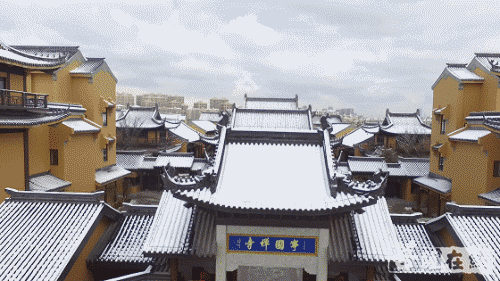 摄影-终盼银装素裹 共赏沪上寺院雪景 摄影-终盼银装素裹 共赏沪上寺院雪景