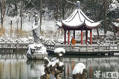 摄影-落雪无声 江苏寺院雪景集锦 摄影-落雪无声 江苏寺院雪景集锦