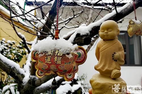 摄影-终盼银装素裹 共赏沪上寺院雪景 摄影-终盼银装素裹 共赏沪上寺院雪景