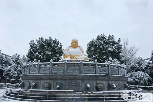 摄影-终盼银装素裹 共赏沪上寺院雪景 摄影-终盼银装素裹 共赏沪上寺院雪景