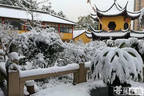摄影-落雪无声 江苏寺院雪景集锦 摄影-落雪无声 江苏寺院雪景集锦