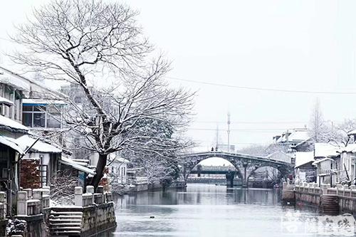 摄影-终盼银装素裹 共赏沪上寺院雪景 摄影-终盼银装素裹 共赏沪上寺院雪景