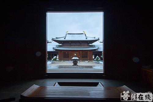 摄影-终盼银装素裹 共赏沪上寺院雪景 摄影-终盼银装素裹 共赏沪上寺院雪景