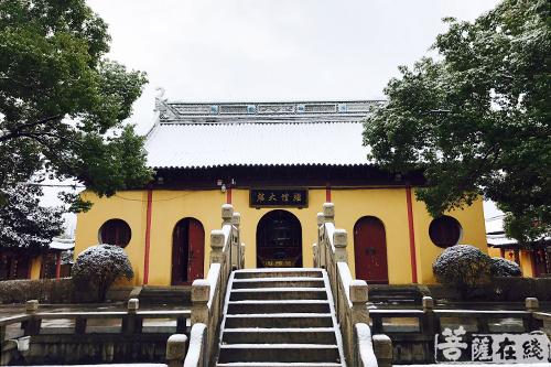 摄影-终盼银装素裹 共赏沪上寺院雪景 摄影-终盼银装素裹 共赏沪上寺院雪景