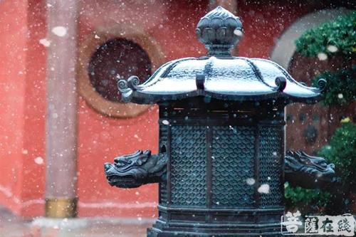 摄影-终盼银装素裹 共赏沪上寺院雪景 摄影-终盼银装素裹 共赏沪上寺院雪景