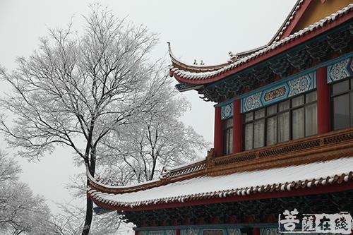 摄影-落雪无声 江苏寺院雪景集锦 摄影-落雪无声 江苏寺院雪景集锦