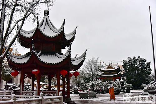 摄影-终盼银装素裹 共赏沪上寺院雪景 摄影-终盼银装素裹 共赏沪上寺院雪景