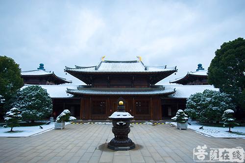 摄影-终盼银装素裹 共赏沪上寺院雪景 摄影-终盼银装素裹 共赏沪上寺院雪景