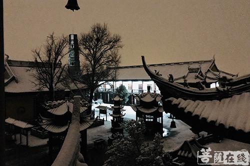 摄影-终盼银装素裹 共赏沪上寺院雪景 摄影-终盼银装素裹 共赏沪上寺院雪景