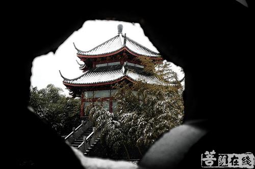 摄影-落雪无声 江苏寺院雪景集锦 摄影-落雪无声 江苏寺院雪景集锦