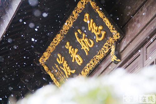 摄影-终盼银装素裹 共赏沪上寺院雪景 摄影-终盼银装素裹 共赏沪上寺院雪景