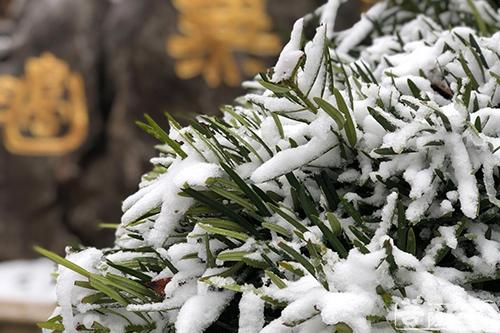 摄影-落雪无声 江苏寺院雪景集锦 摄影-落雪无声 江苏寺院雪景集锦