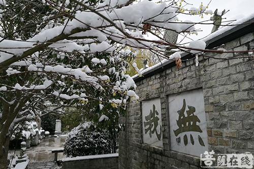 摄影-终盼银装素裹 共赏沪上寺院雪景 摄影-终盼银装素裹 共赏沪上寺院雪景