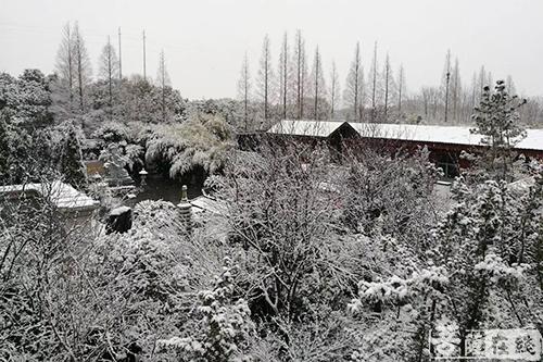摄影-终盼银装素裹 共赏沪上寺院雪景 摄影-终盼银装素裹 共赏沪上寺院雪景
