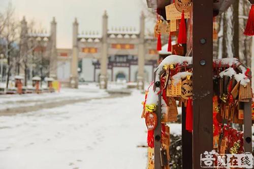 摄影-落雪无声 江苏寺院雪景集锦 摄影-落雪无声 江苏寺院雪景集锦
