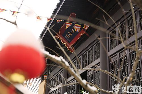 摄影-终盼银装素裹 共赏沪上寺院雪景 摄影-终盼银装素裹 共赏沪上寺院雪景