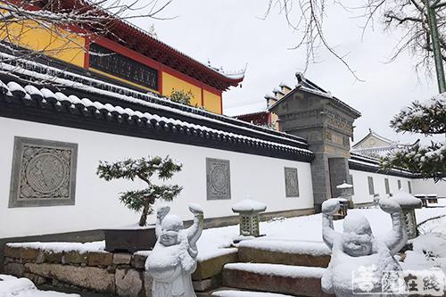 摄影-终盼银装素裹 共赏沪上寺院雪景 摄影-终盼银装素裹 共赏沪上寺院雪景