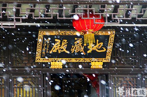摄影-终盼银装素裹 共赏沪上寺院雪景 摄影-终盼银装素裹 共赏沪上寺院雪景