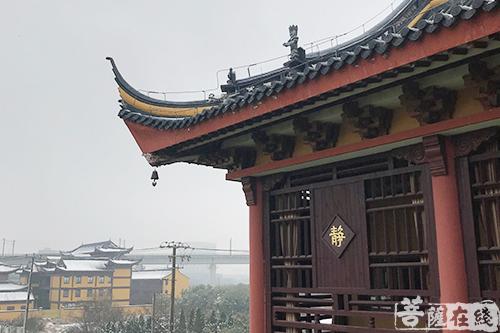 摄影-终盼银装素裹 共赏沪上寺院雪景 摄影-终盼银装素裹 共赏沪上寺院雪景