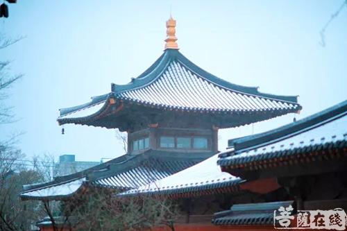 摄影-终盼银装素裹 共赏沪上寺院雪景 摄影-终盼银装素裹 共赏沪上寺院雪景