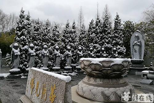 摄影-终盼银装素裹 共赏沪上寺院雪景 摄影-终盼银装素裹 共赏沪上寺院雪景