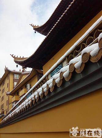 摄影-终盼银装素裹 共赏沪上寺院雪景 摄影-终盼银装素裹 共赏沪上寺院雪景