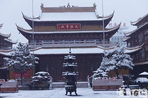 摄影-终盼银装素裹 共赏沪上寺院雪景 摄影-终盼银装素裹 共赏沪上寺院雪景
