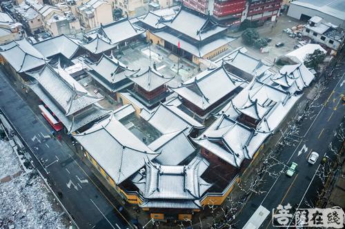 摄影-终盼银装素裹 共赏沪上寺院雪景 摄影-终盼银装素裹 共赏沪上寺院雪景