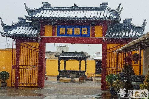摄影-终盼银装素裹 共赏沪上寺院雪景 摄影-终盼银装素裹 共赏沪上寺院雪景