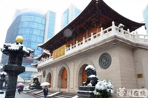摄影-终盼银装素裹 共赏沪上寺院雪景 摄影-终盼银装素裹 共赏沪上寺院雪景